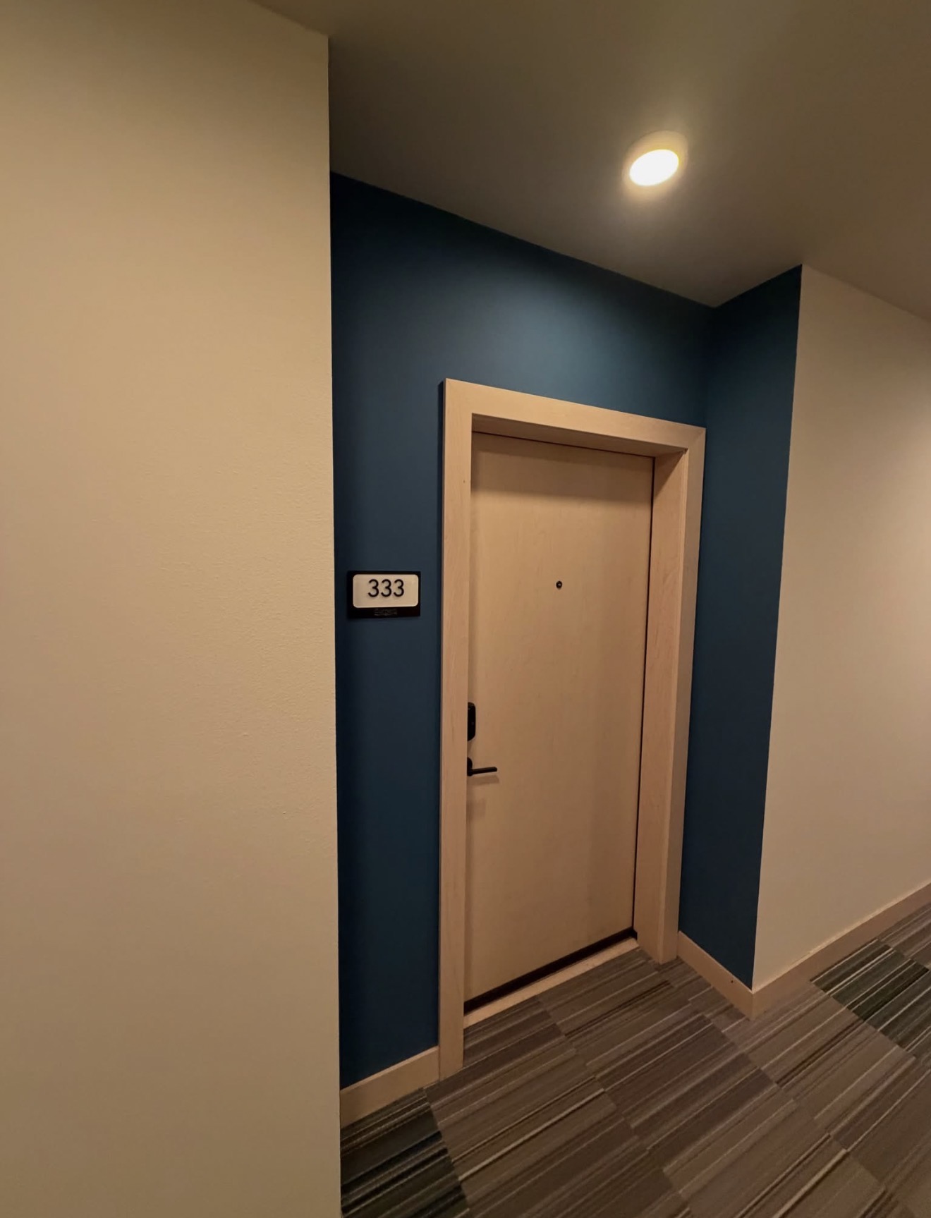 Commercial hallway door and accent wall painting